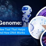 Meet AlphaGenome: A Powerful New Tool That Helps Us Understand How DNA Works