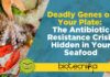Deadly Genes on Your Plate: The Antibiotic Resistance Crisis Hidden in Your Seafood