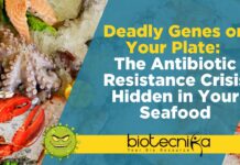 Deadly Genes on Your Plate: The Antibiotic Resistance Crisis Hidden in Your Seafood