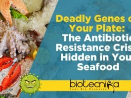 Deadly Genes on Your Plate: The Antibiotic Resistance Crisis Hidden in Your Seafood