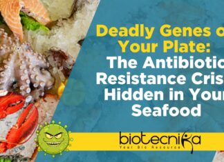 Deadly Genes on Your Plate: The Antibiotic Resistance Crisis Hidden in Your Seafood