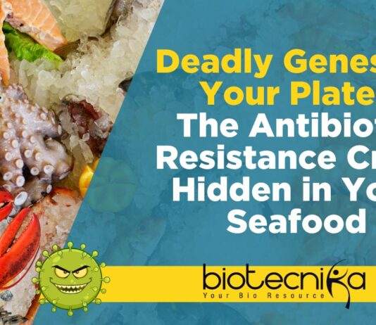 Deadly Genes on Your Plate: The Antibiotic Resistance Crisis Hidden in Your Seafood