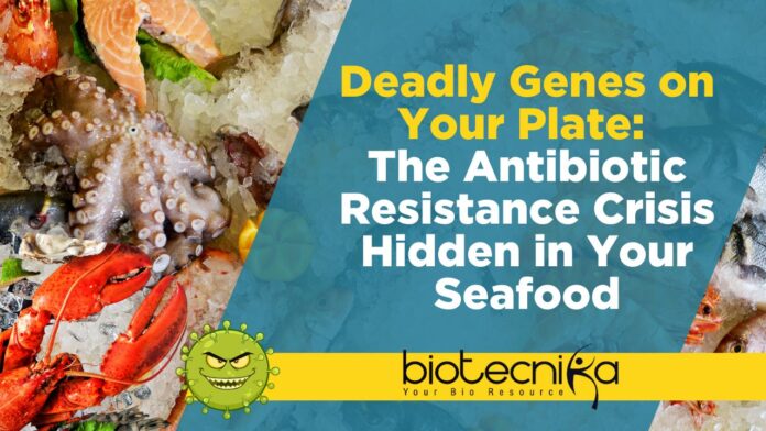 Deadly Genes on Your Plate: The Antibiotic Resistance Crisis Hidden in Your Seafood