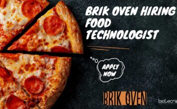 Food Technologist Jobs Bengaluru - Brik Oven Hiring