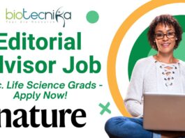 Editorial Advisor Job at Springer Nature – Apply by June 9