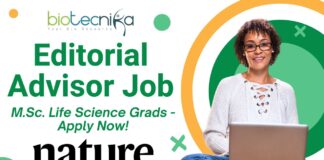Editorial Advisor Job at Springer Nature – Apply by June 9