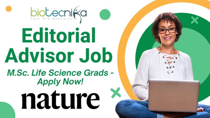 Editorial Advisor Job at Springer Nature – Apply by June 9