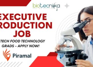 Executive Production Piramal Job in Mahad Apply Today
