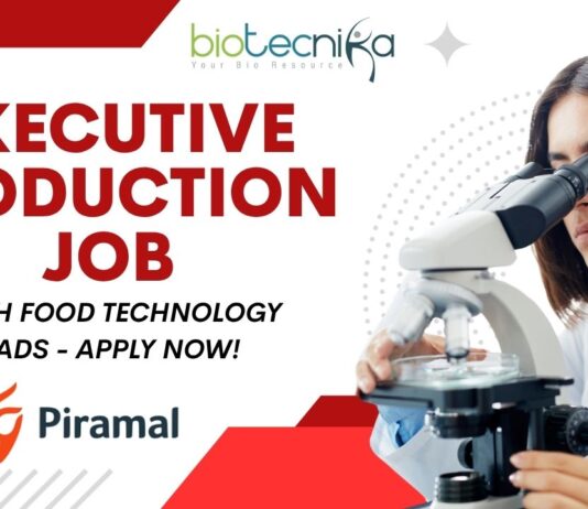 Executive Production Piramal Job in Mahad Apply Today