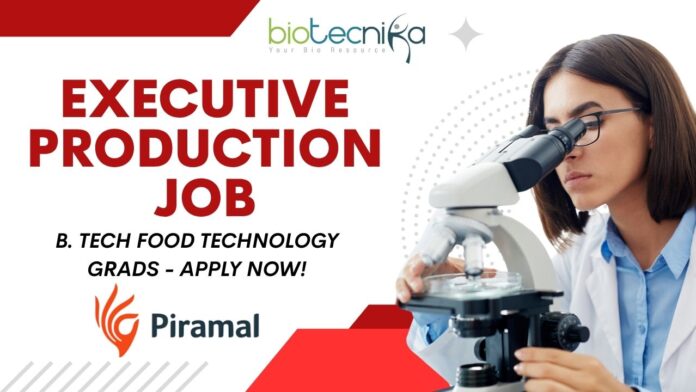 Executive Production Piramal Job in Mahad Apply Today
