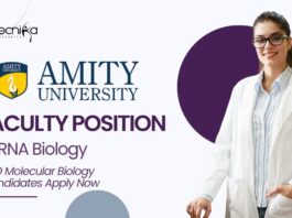 _Faculty Position in RNA Biology at Amity University PhD Molecular Biology Candidates Apply Now (1)_Faculty Position in RNA Biology at Amity University PhD Molecular Biology Candidates Apply Now