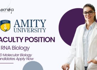 _Faculty Position in RNA Biology at Amity University PhD Molecular Biology Candidates Apply Now (1)_Faculty Position in RNA Biology at Amity University PhD Molecular Biology Candidates Apply Now