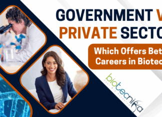 Government vs Private Sector Which Offers Better Careers in Biotech