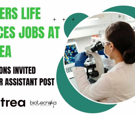Freshers Life Sciences Jobs Bangalore