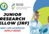 IBAB JRF Recruitment 2025 – MSc Life Sciences Apply Now!