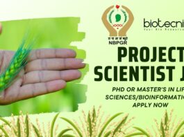 ICAR-NBPGR Project Scientist Job – Wheat Genomics Research