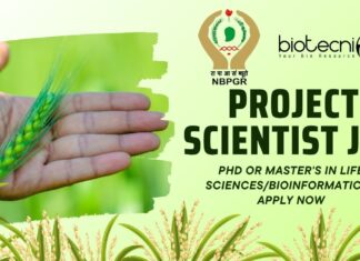 ICAR-NBPGR Project Scientist Job – Wheat Genomics Research