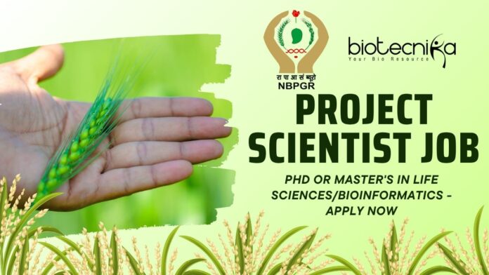 ICAR-NBPGR Project Scientist Job – Wheat Genomics Research