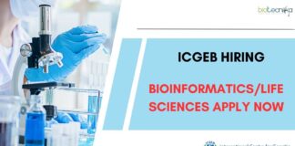 ICGEB Bioinformatics Project Jobs For PhD, Apply Now