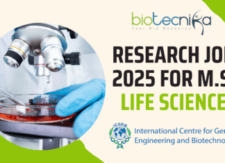 ICGEB Research Jobs 2025 for M.Sc. Life Sciences - Apply Now!