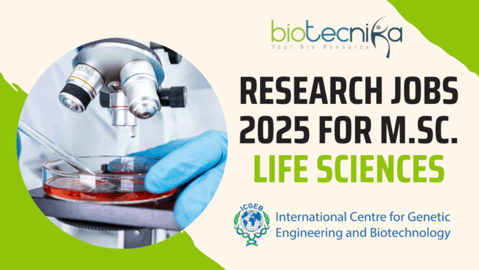 ICGEB Research Jobs 2025 for M.Sc. Life Sciences - Apply Now!
