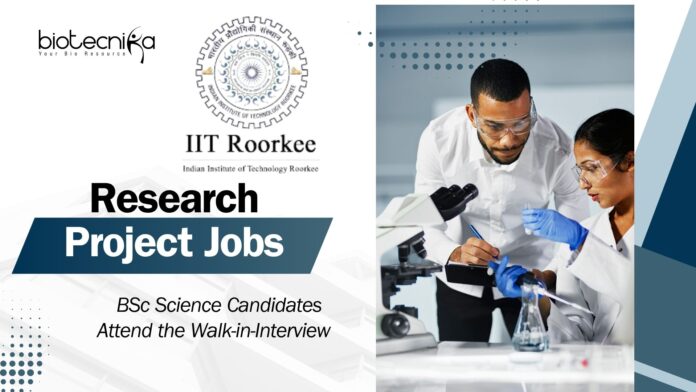 IIT Roorkee Project Job | BSc Science Candidates Attend the Walk-in-Interview  
