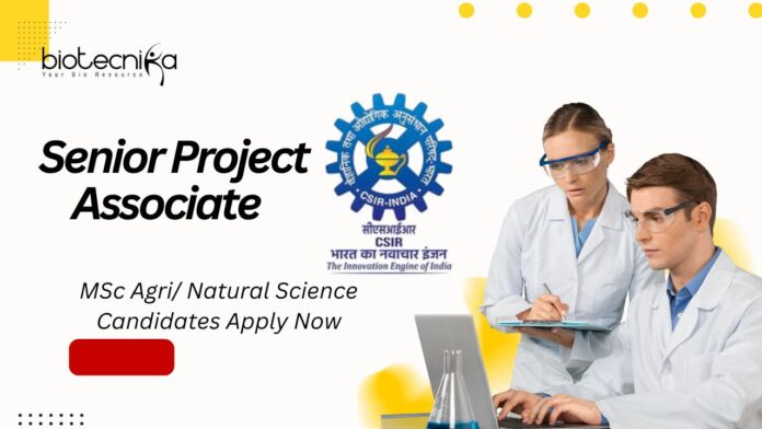 IMTECH Senior Project Associate Job | MSc Agri/ Natural Science Candidates Apply Now