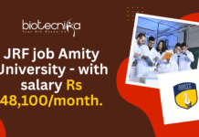 JRF job Amity University