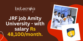JRF job Amity University