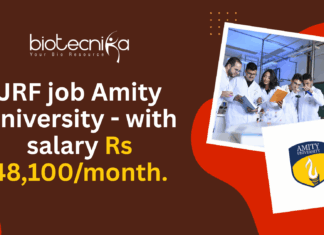 JRF job Amity University