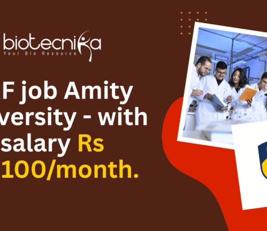 JRF job Amity University