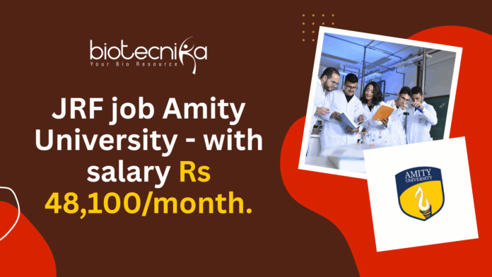 JRF job Amity University