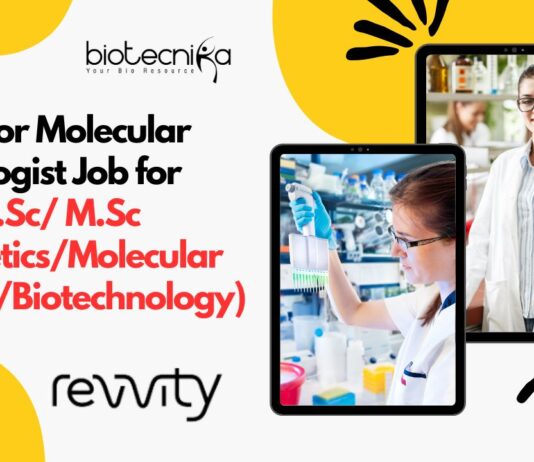 Junior Molecular Biologist Job