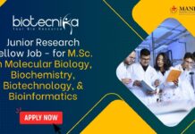Junior Research Fellow Job