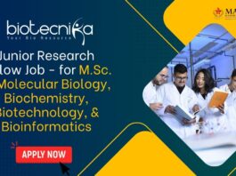 Junior Research Fellow Job