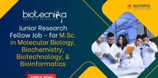 Junior Research Fellow Job
