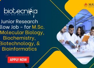 Junior Research Fellow Job