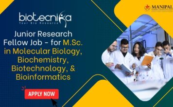 Junior Research Fellow Job