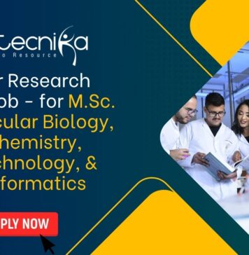 Junior Research Fellow Job