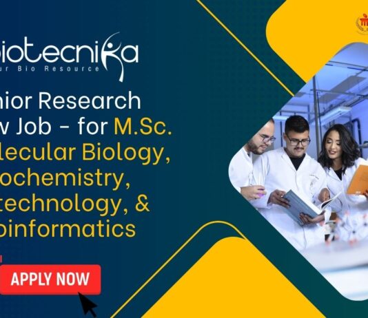 Junior Research Fellow Job