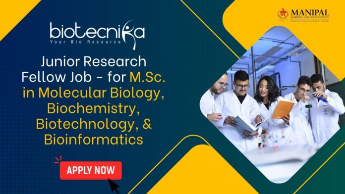 Junior Research Fellow Job