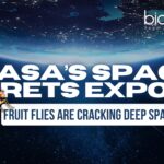 NASA’s Space Secrets EXPOSED You Won’t Believe What Fruit Flies Are Teaching Us About Deep Space!