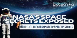 NASA’s Space Secrets EXPOSED You Won’t Believe What Fruit Flies Are Teaching Us About Deep Space!