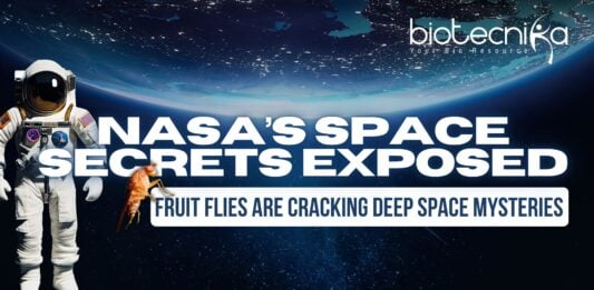 NASA’s Space Secrets EXPOSED You Won’t Believe What Fruit Flies Are Teaching Us About Deep Space!