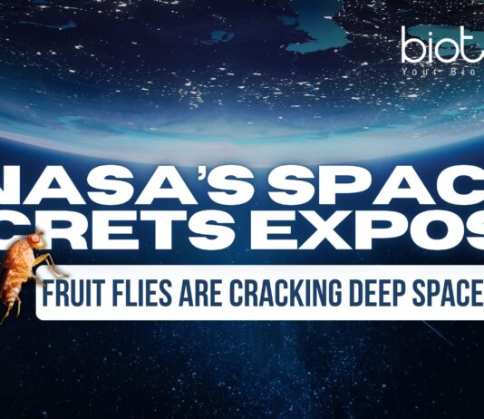 NASA’s Space Secrets EXPOSED You Won’t Believe What Fruit Flies Are Teaching Us About Deep Space!