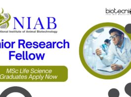 NIAB Junior Research Fellow Opening – MSc Life Science Graduates Apply Now