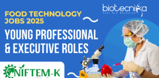 NIFTEM Jobs 2025 Young Professional & Executive Roles - Apply Now!