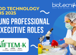 NIFTEM Jobs 2025 Young Professional & Executive Roles - Apply Now!