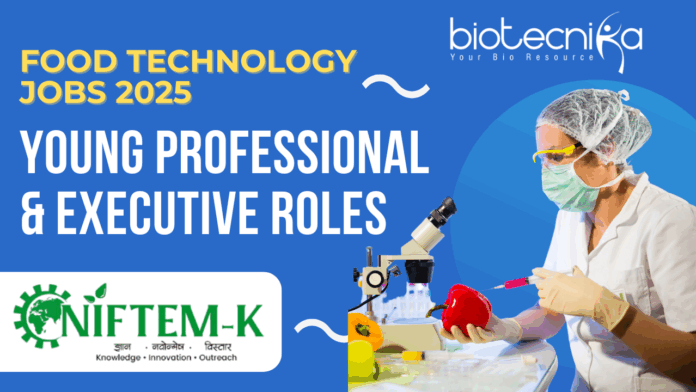 NIFTEM Jobs 2025 Young Professional & Executive Roles - Apply Now!