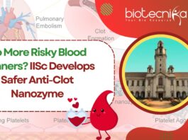 iisc-develops-safer-anti-clot-nanozyme-no-more-risky-blood-thinners